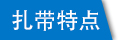 固定頭塑料扎帶的特點